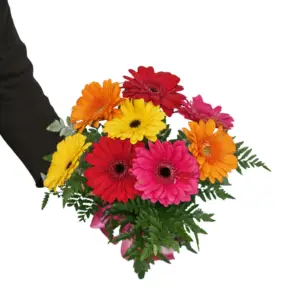 mixed gerbera bouquet