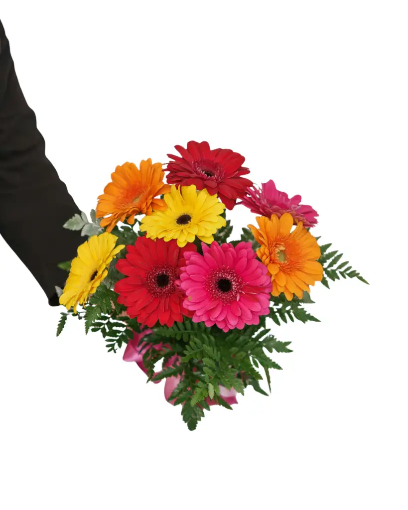 mixed gerbera bouquet