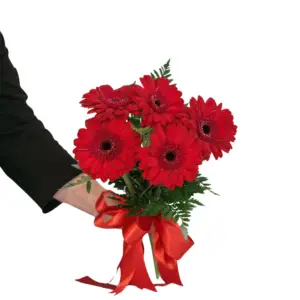 red gerbera bouquet