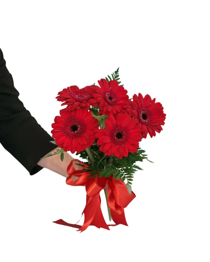 red gerbera bouquet
