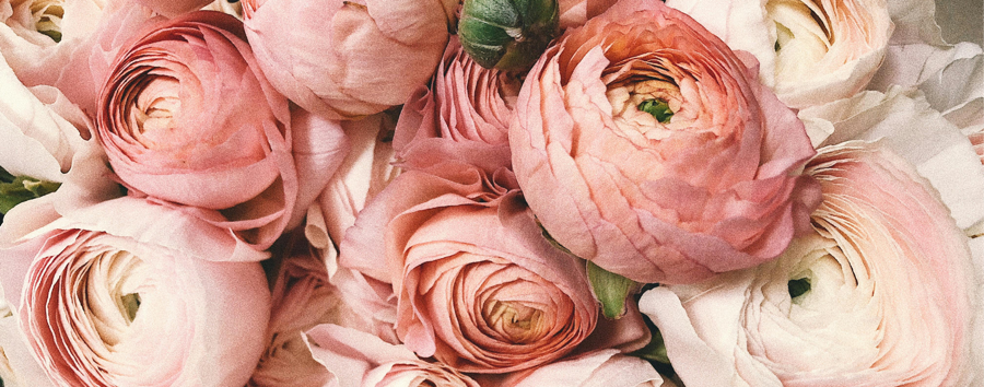 flowers top image